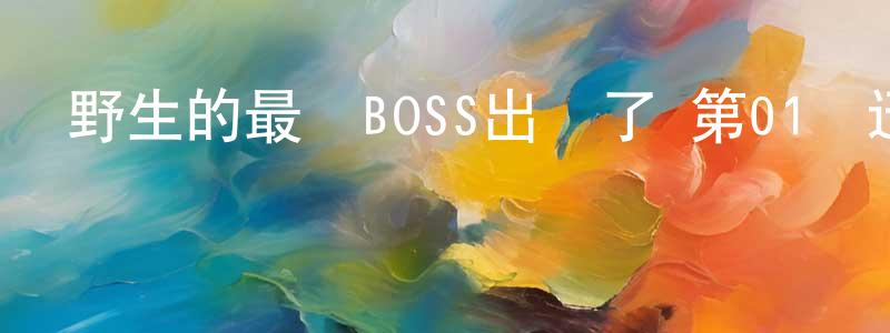 陳積權的動漫綜藝大全,野生的最終BOSS出現了 第01話迅雷下載_深夜電影